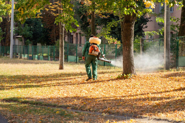 Best Affordable Pest Control Services  in Dolan Springs, AZ